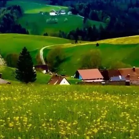 Im Schwarzwald * Фуртванген
