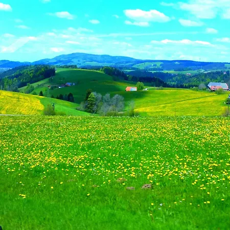 Im Schwarzwald アパート *