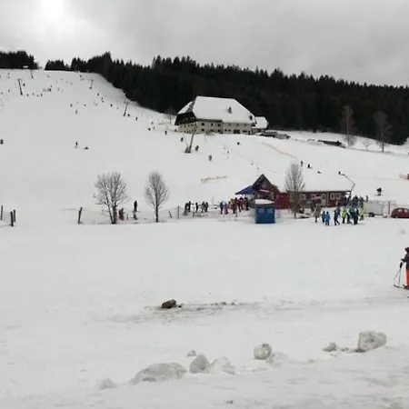 アパート Im Schwarzwald フルトヴァンゲン