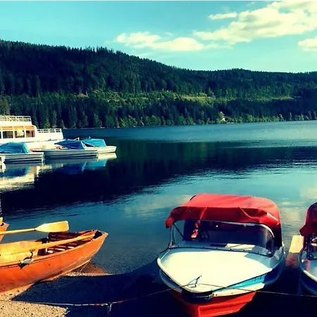 Im Schwarzwald Διαμέρισμα *